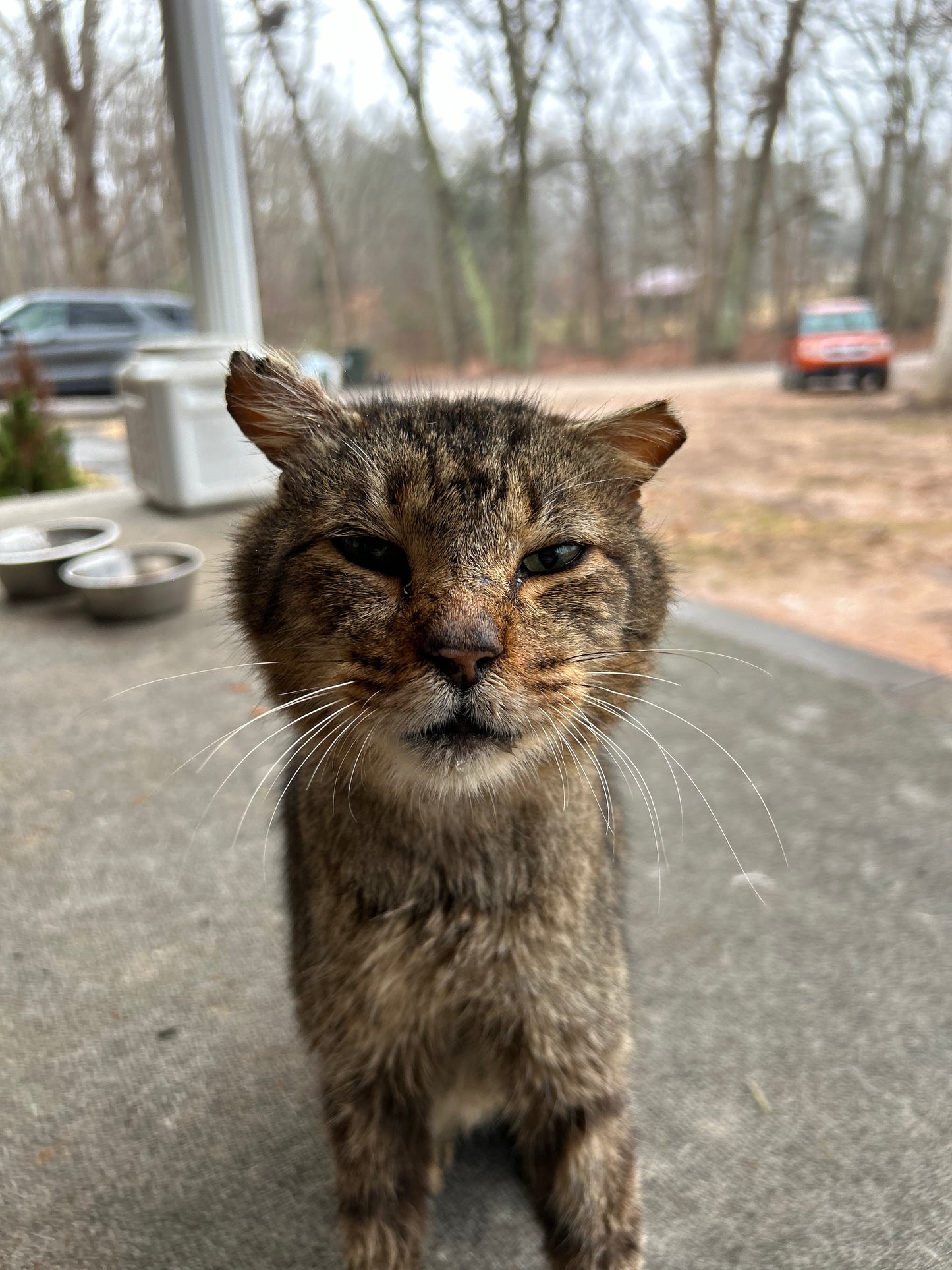 Sponsor An Animal