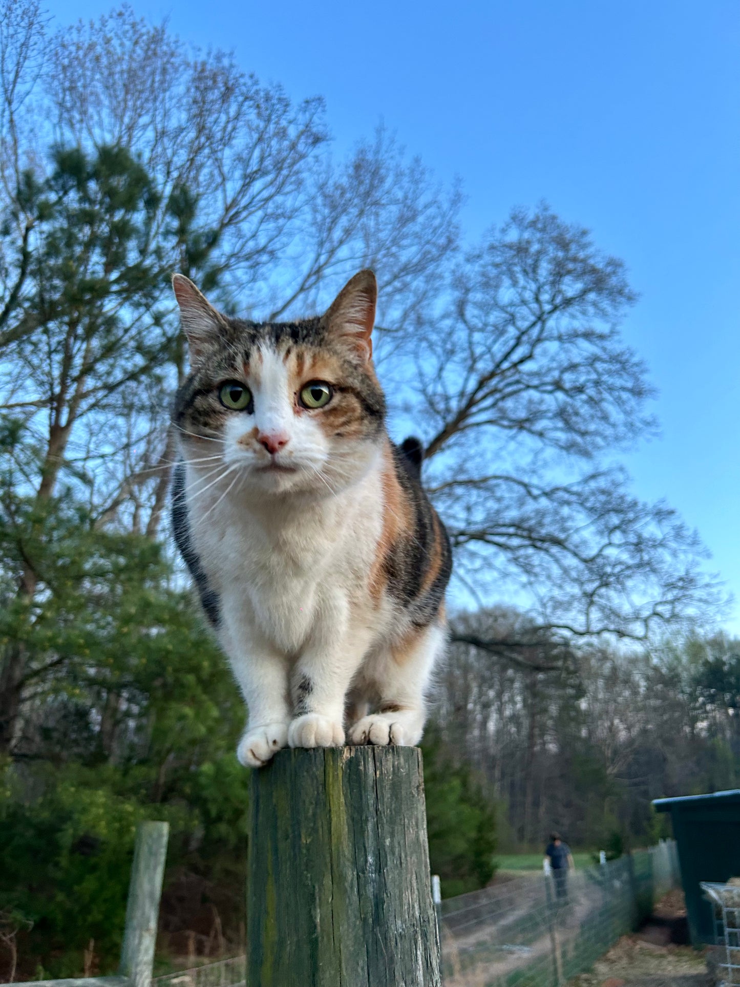Sponsor An Animal