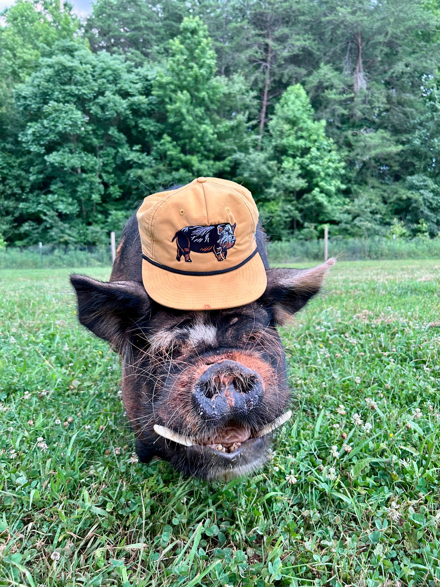 The Baba Hat - Limited Edition